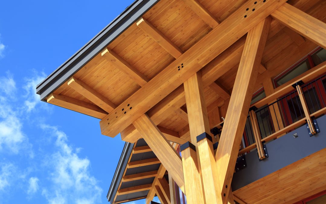 Spruce Peak Adventure Center